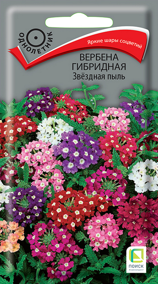 Вербена гибридная Звёздная пыль, 0,2 г
