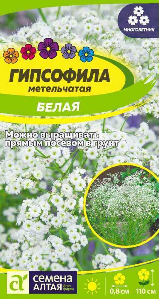 Гипсофила многолетняя Белая метельчатая, 0,2 г