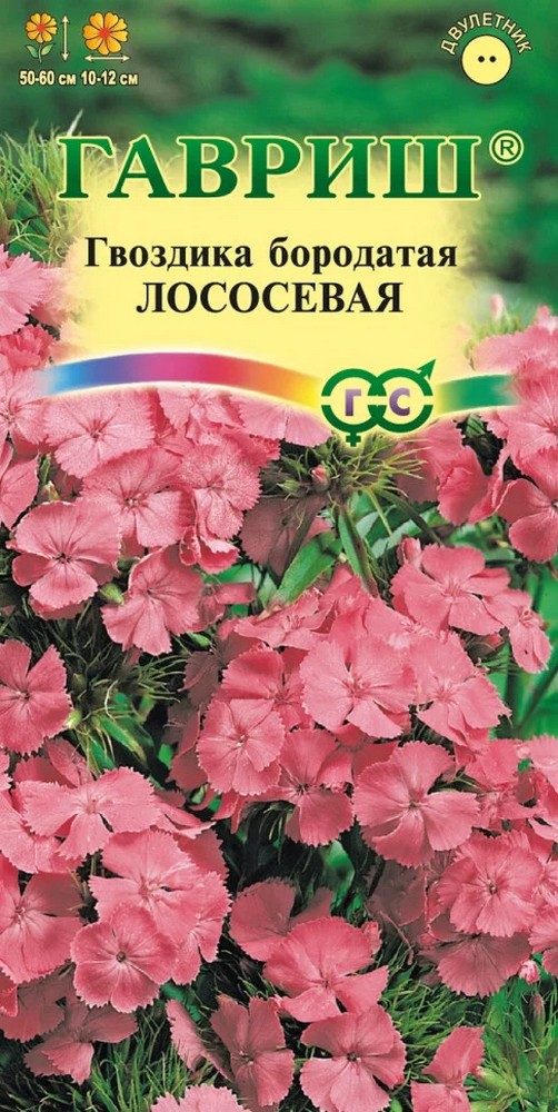 Гвоздика турецкая Лососевая, 0,1 г.