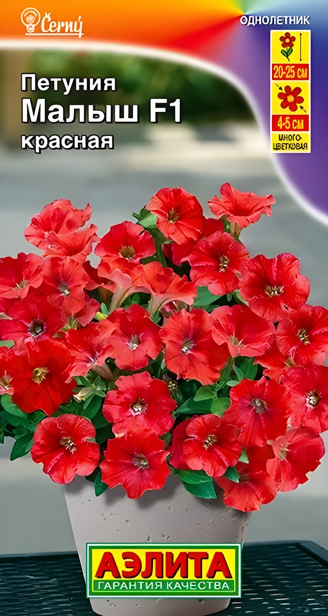 Петуния мини Малыш F1, многоцветковая, красная, 7 шт.
