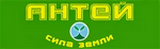 Антей