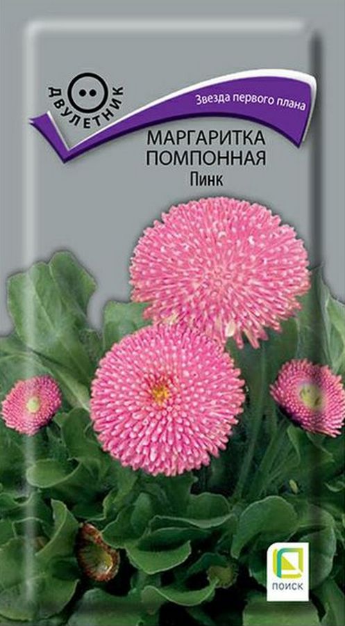 Маргаритка помпонная Пинк, 0,05 г