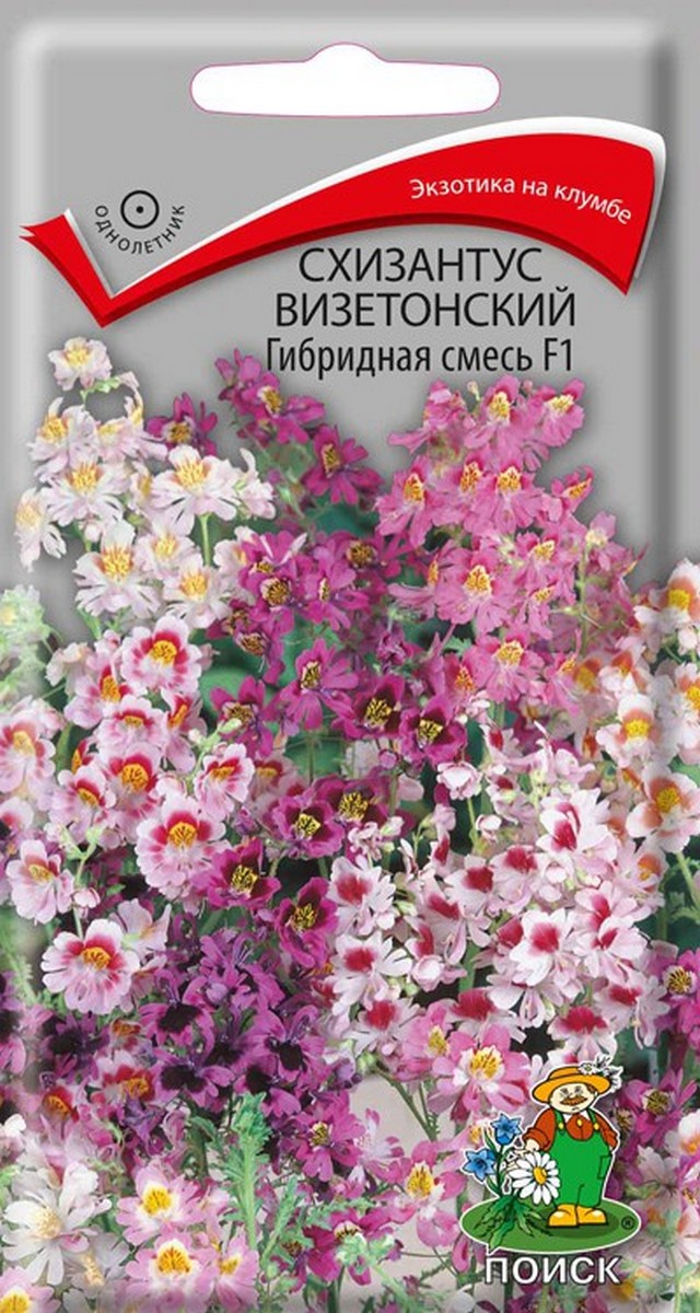Схизантус визетонский Гибридная смесь, 0,06 г