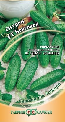 Огурец Берендей F1, 10шт. Авторские семена.