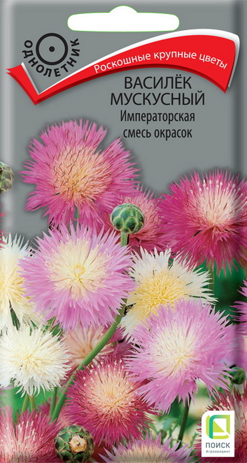 Василёк мускусный Императорская смесь окрасок, 0,2 г