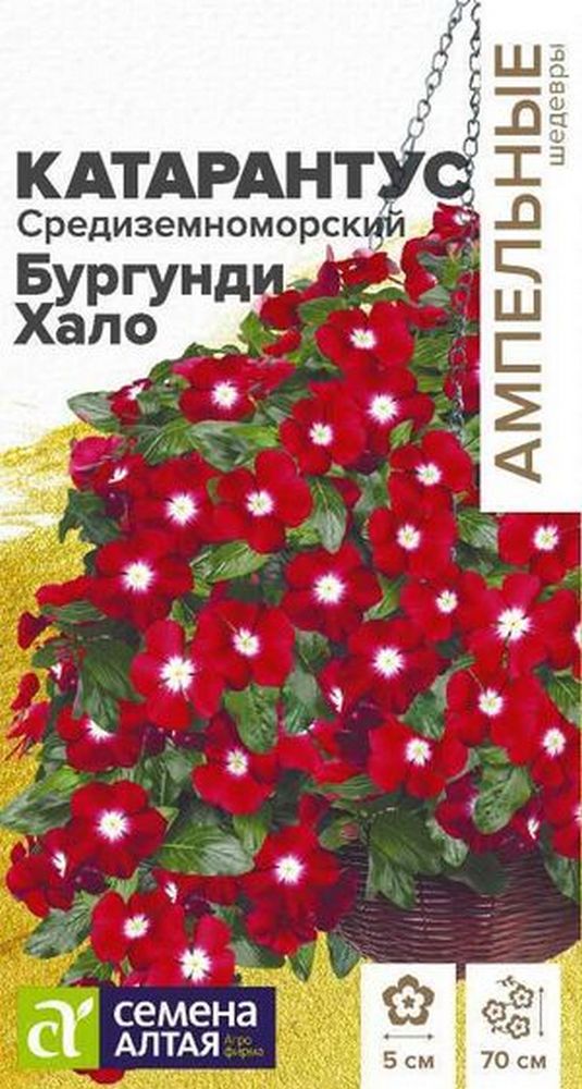 Катарантус Средиземноморский Бургунди Хало, 5 шт. Ампельные Шедевры.