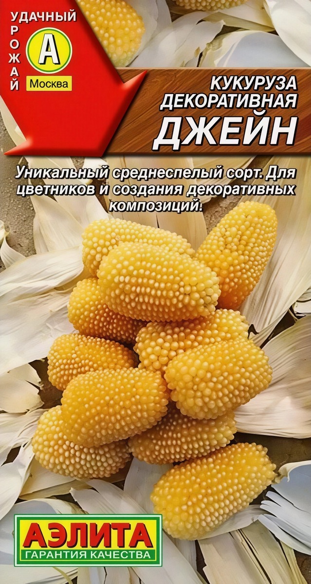Кукуруза декоративная Джейн, 10 шт.