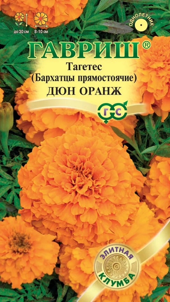Бархатцы прямостоячие Дюн Оранж, 7 шт. Элитная клумба.