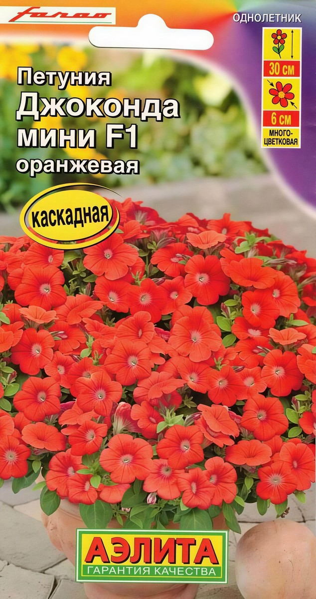 Петуния Джоконда мини F1, оранжевая, 5 шт. 