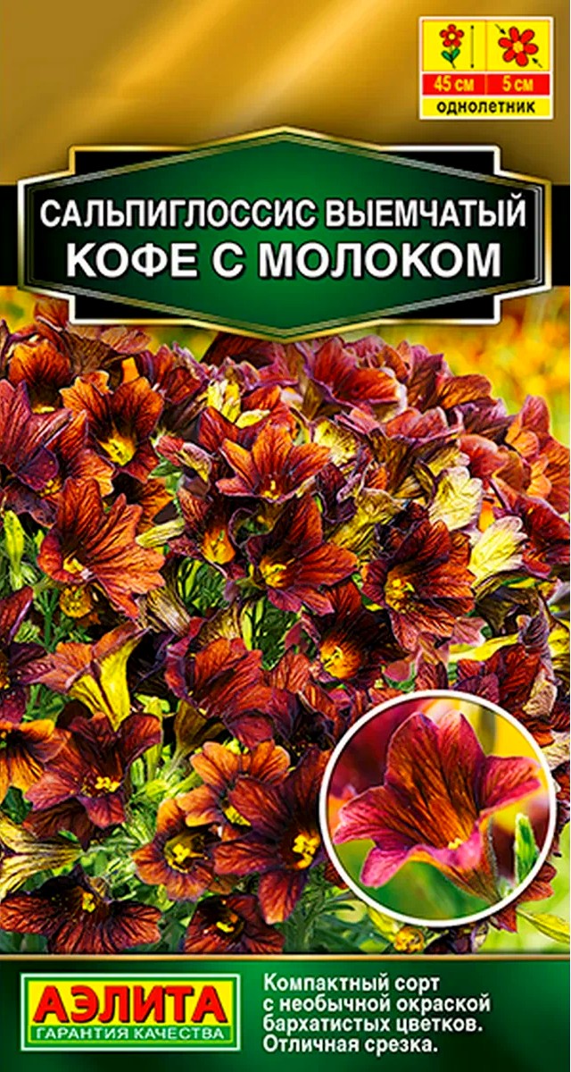 Сальпиглоссис Кофе с молоком, 7 шт.