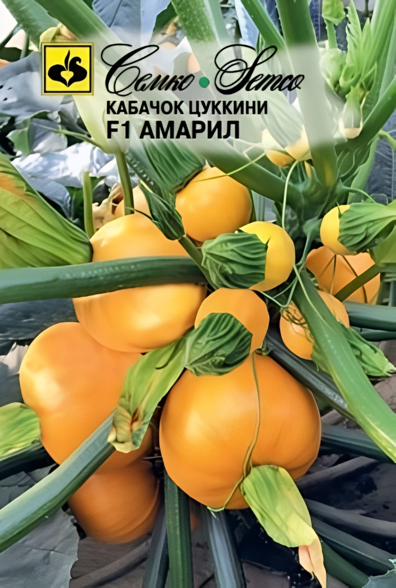 Кабачок цуккини Амарил F1, 5 шт. Семко