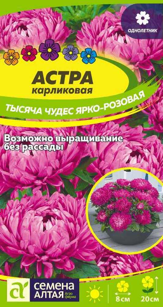 Астра Тысяча чудес ярко-розовая карликовая 0,2 г