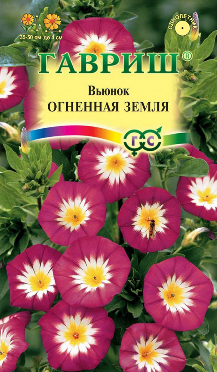 Вьюнок трехцветный Огненная земля, 0,5 г