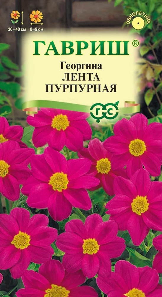 Георгина Лента пурпурная, 0,2 г 