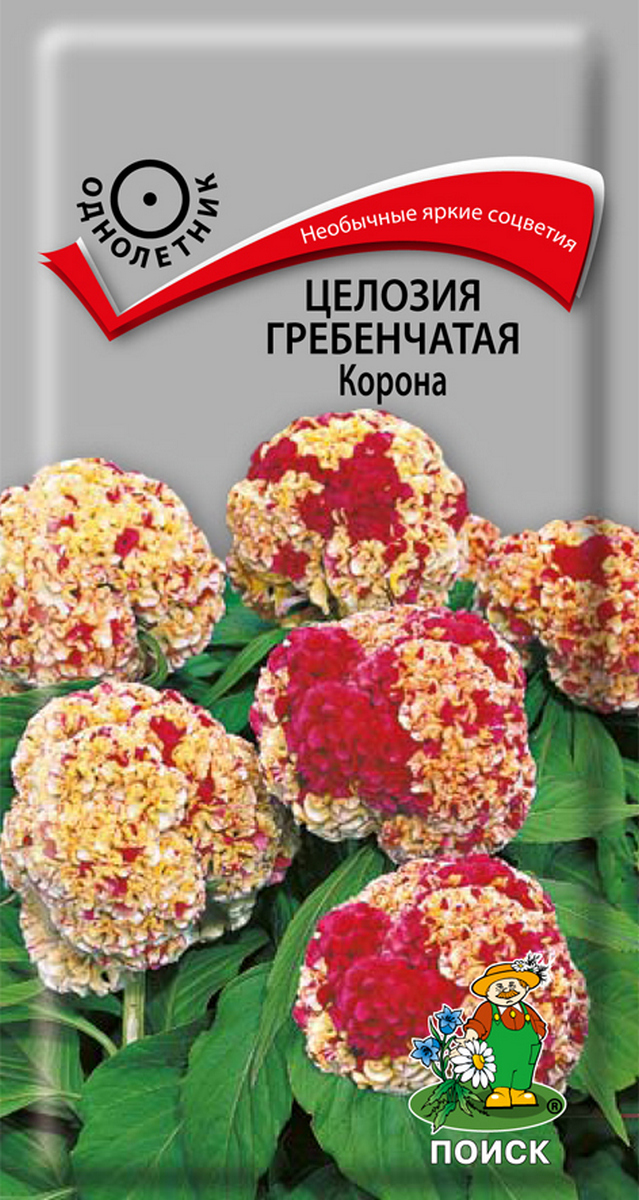Целозия гребенчатая Корона, 10 шт.