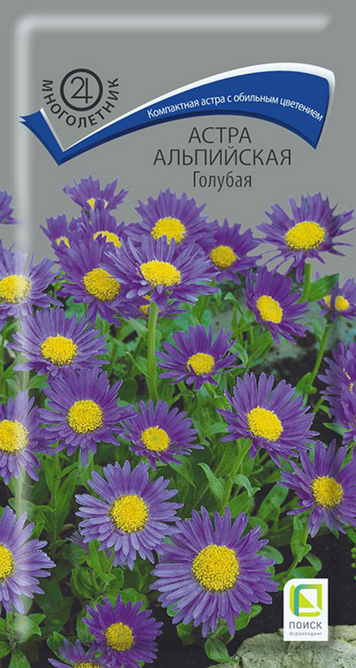 Астра Альпийская Голубая, 0,04 г Поиск