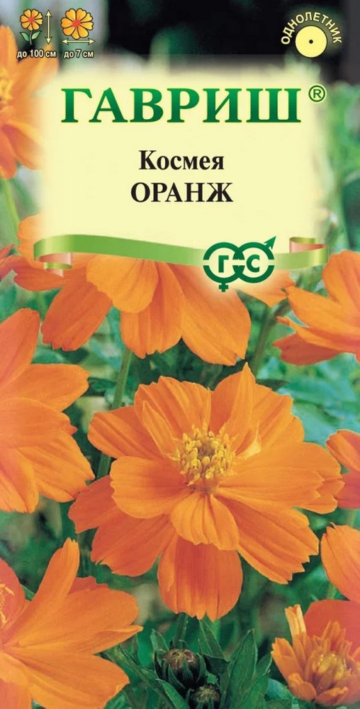 Космея махровая Оранж, 0,3 г 