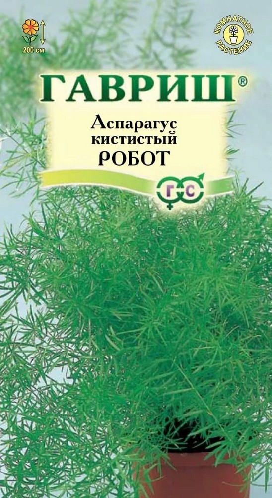 Аспарагус кистистый Робот, 0,3 г