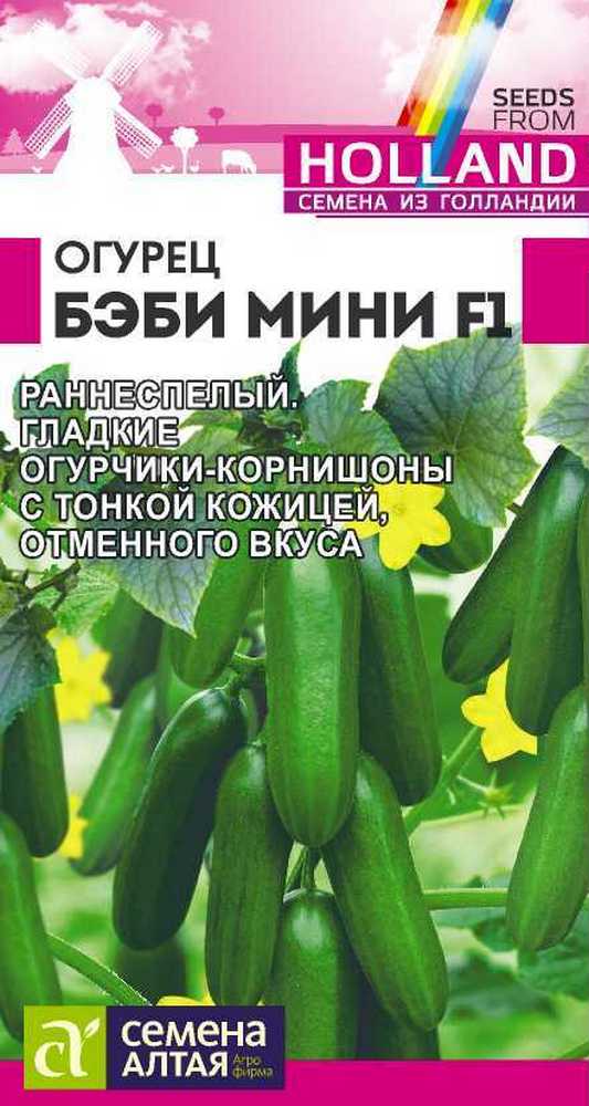 Огурец Бэби Мини F1, 5 шт. Голландские Семена.