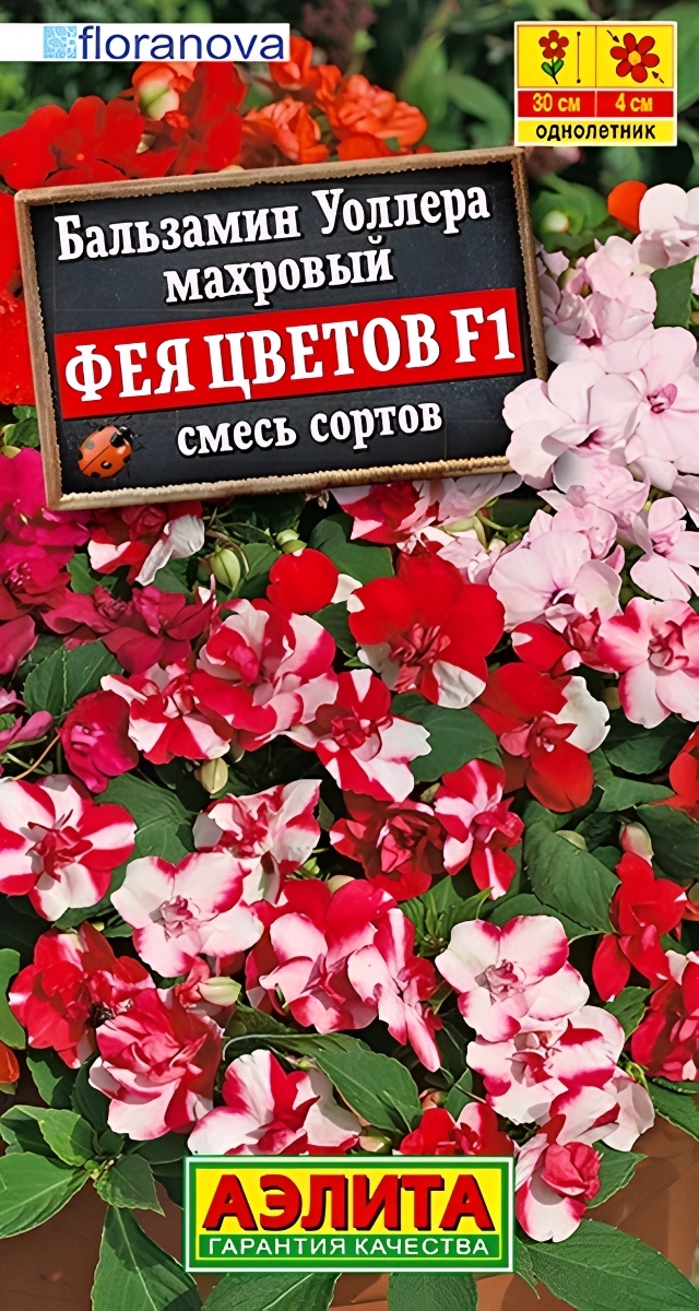 Бальзамин Фея цветов F1, махровый 5 шт.