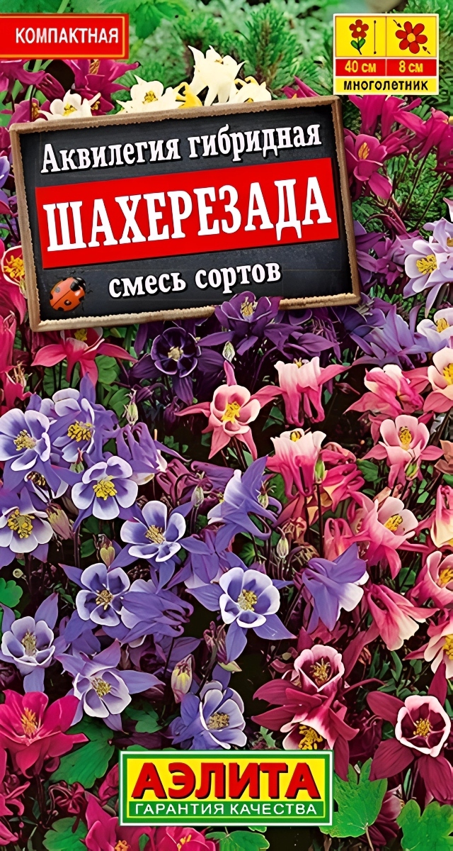 Аквилегия Шахерезада, 0,1 г