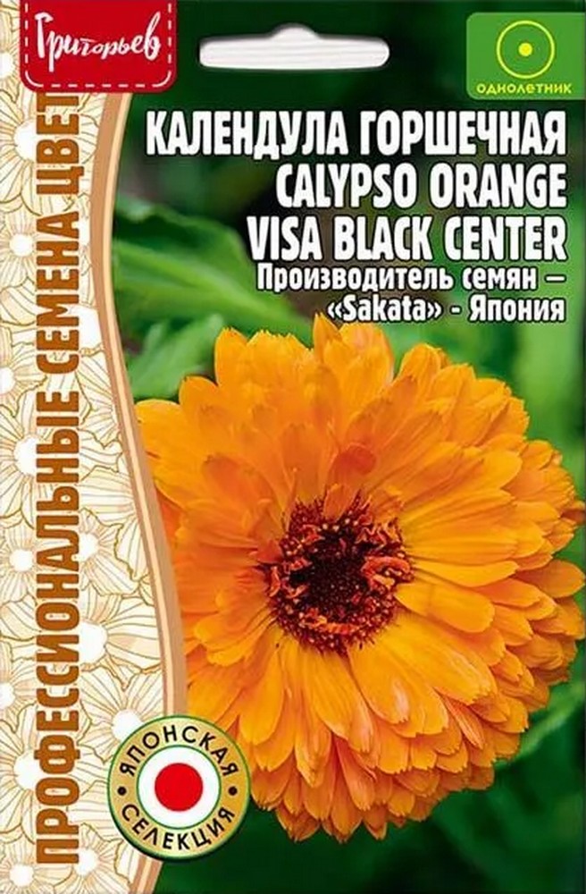 Календула горшечная Calypso Orange Visa Black, 5 шт.