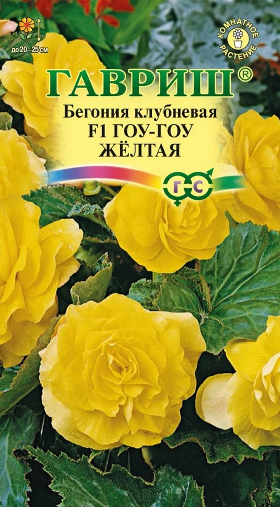 Бегония Гоу-гоу желтая F1, 4 шт. Гранулы.