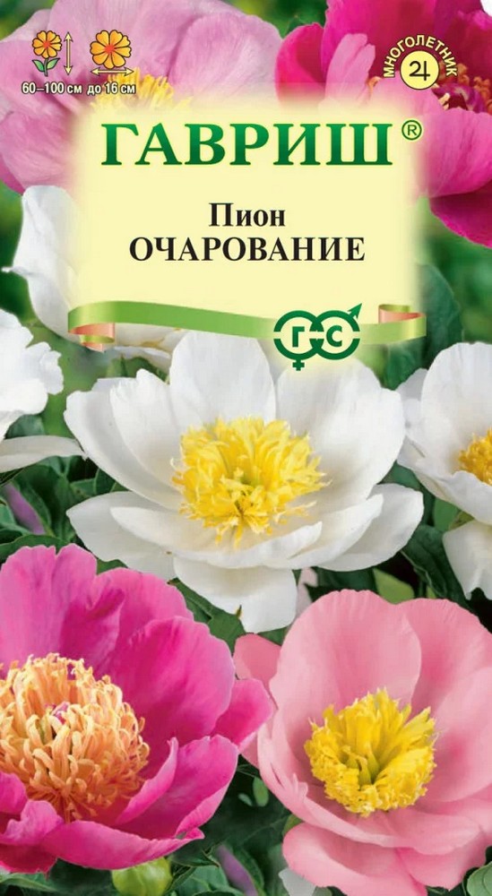 Пион молочноцветковый Очарование, смесь, 3шт.