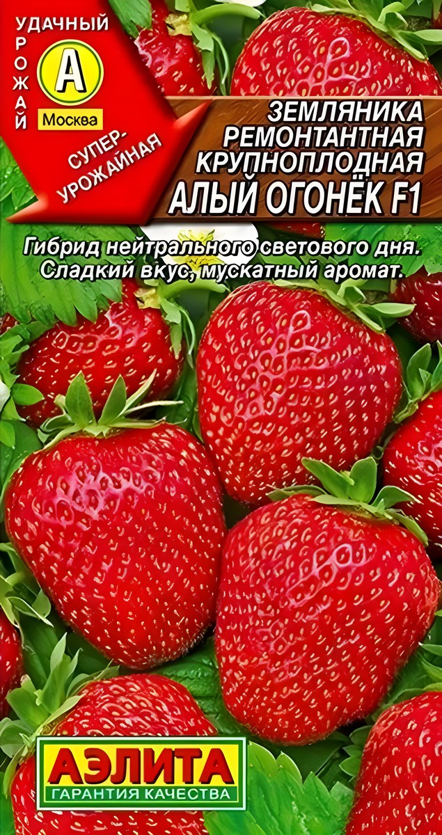 Земляника крупноплодная Алый огонек F1 0,04г 