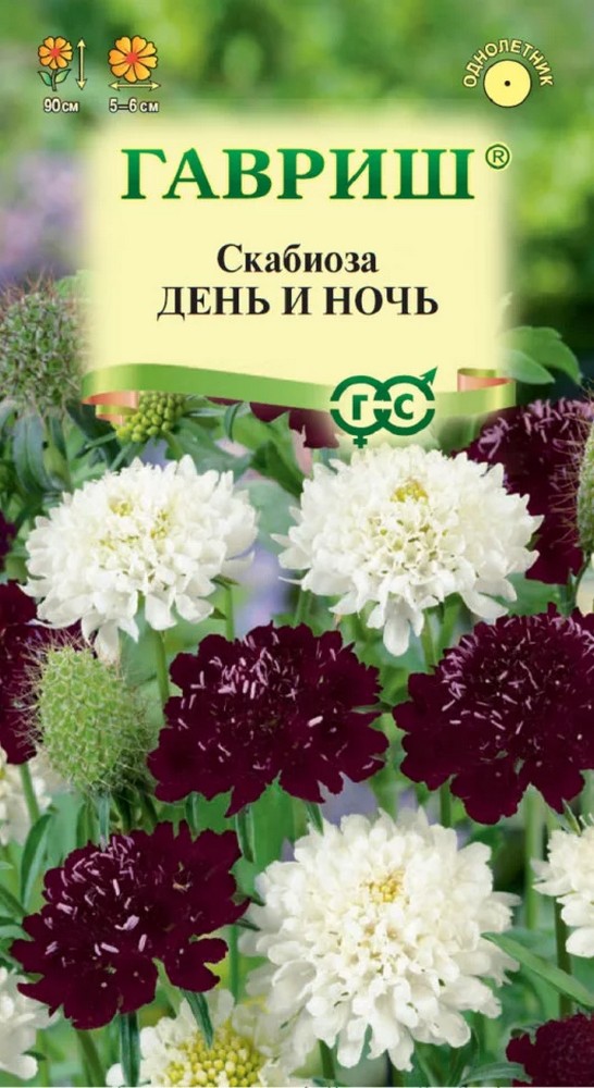 Скабиоза пурпурная День и ночь, смесь 0,2 г Н22