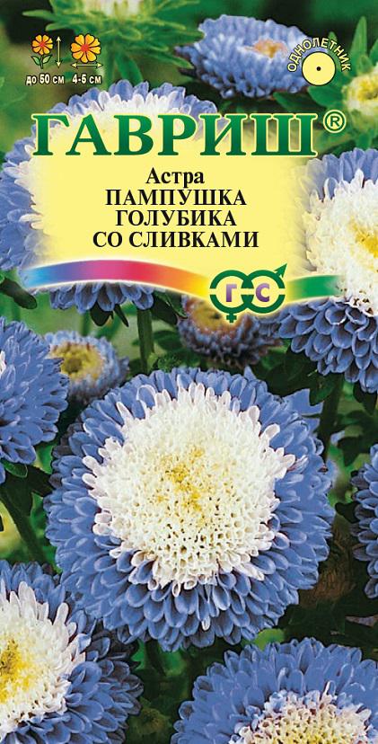 Астра Пампушка голубика со сливками, помпонная, 0,3 г