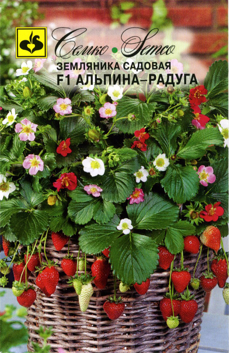 Земляника Альпина Радуга F1, 10 шт.