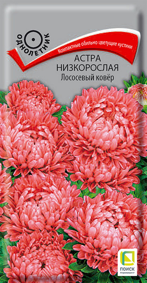 Астра низкорослая Лососевый ковёр 0,2 г