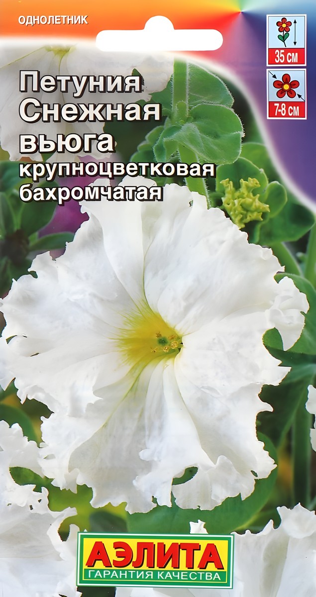 Петуния Снежная вьюга крупноцветковая бахромчатая, 7 шт.