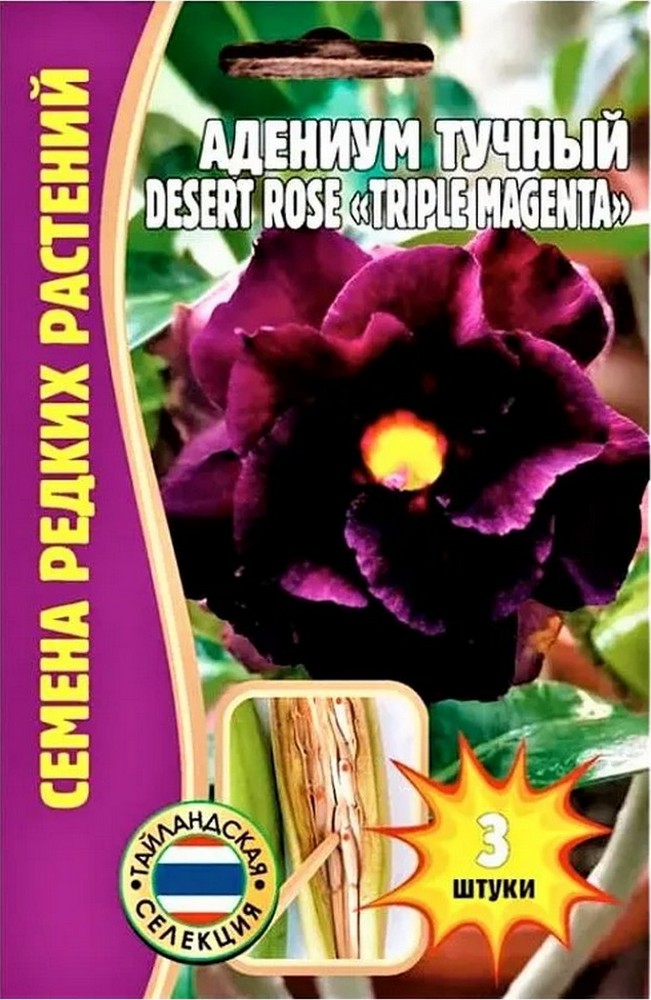 Адениум Triple Magenta  DESERT ROSE, 3 шт.