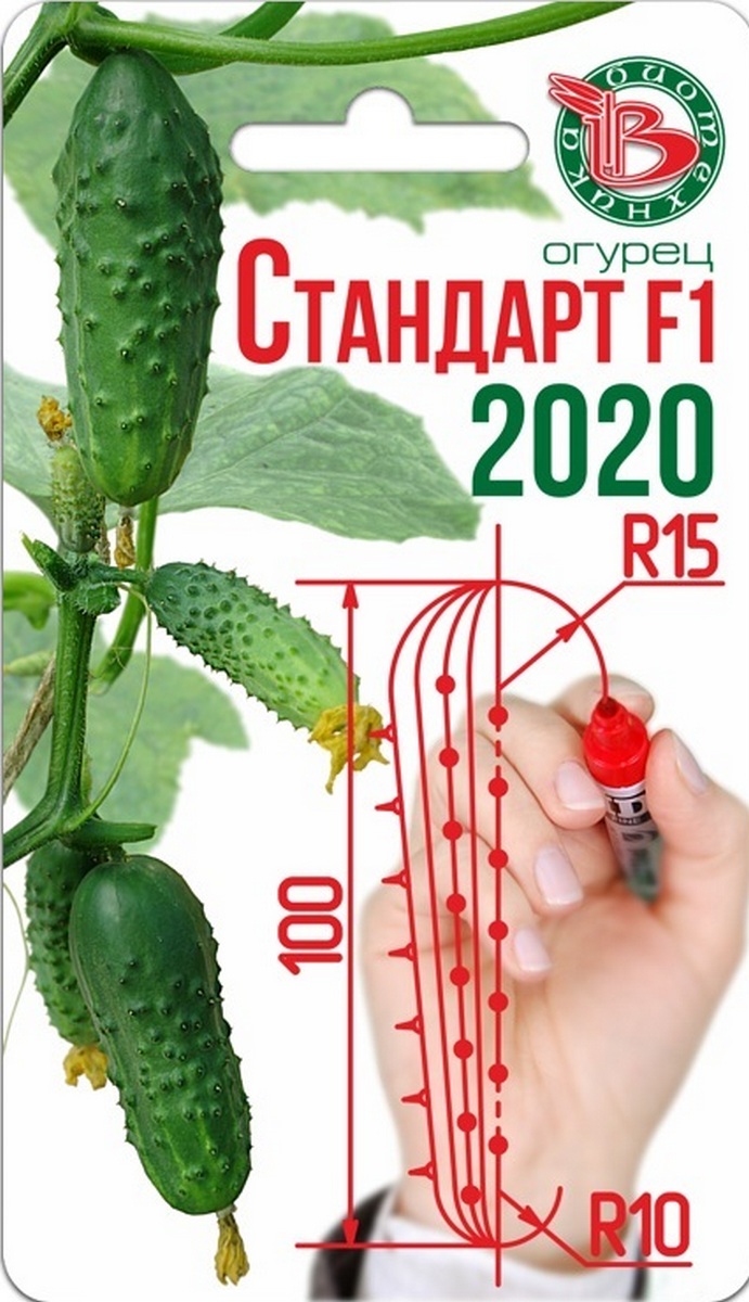 Огурец Стандарт F1 2020, 8 шт. Биотехника