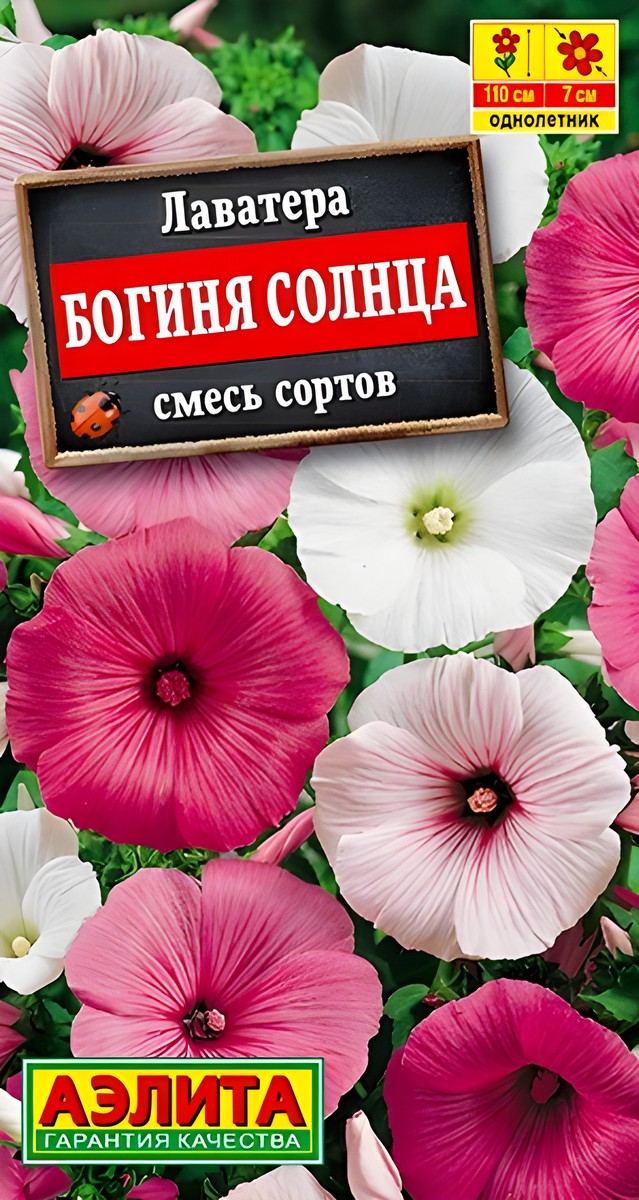 Лаватера Богиня солнца, смесь, 0,3 г