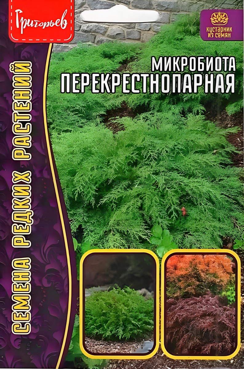 Микробиота Перекрестнопарная, 5 шт.
