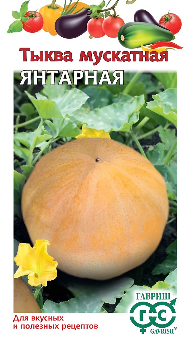 Тыква Янтарная мускатная 1 г. Овощная коллекция.