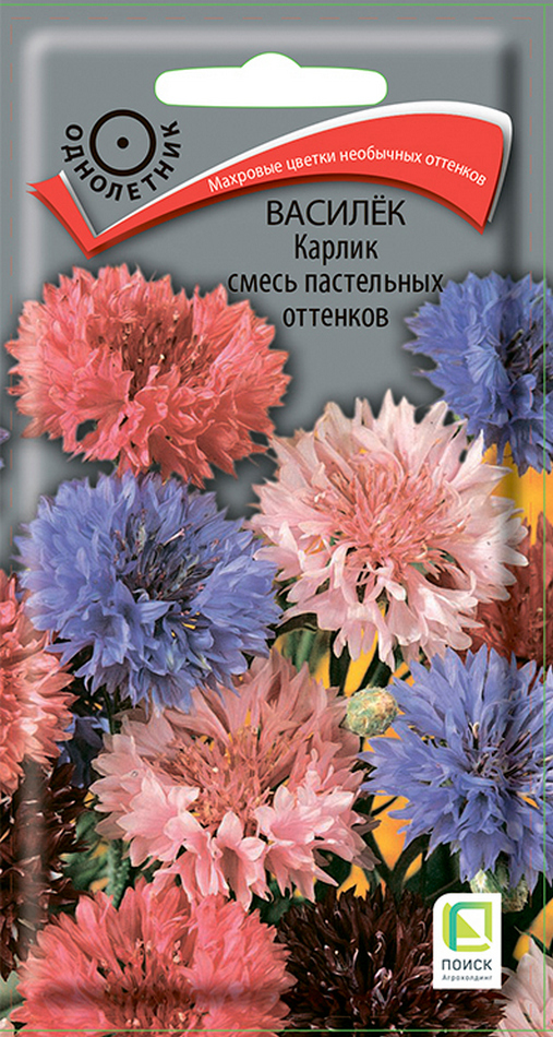 Василёк Карлик смесь пастельных оттенков, 0,1 г