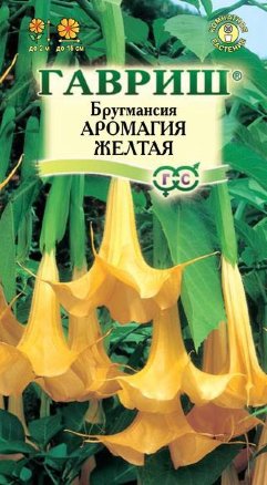 Бругмансия Аромагия розовая, 3 шт.