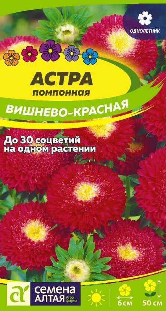 Астра Помпонная Вишнево-красная, 0,2 г 