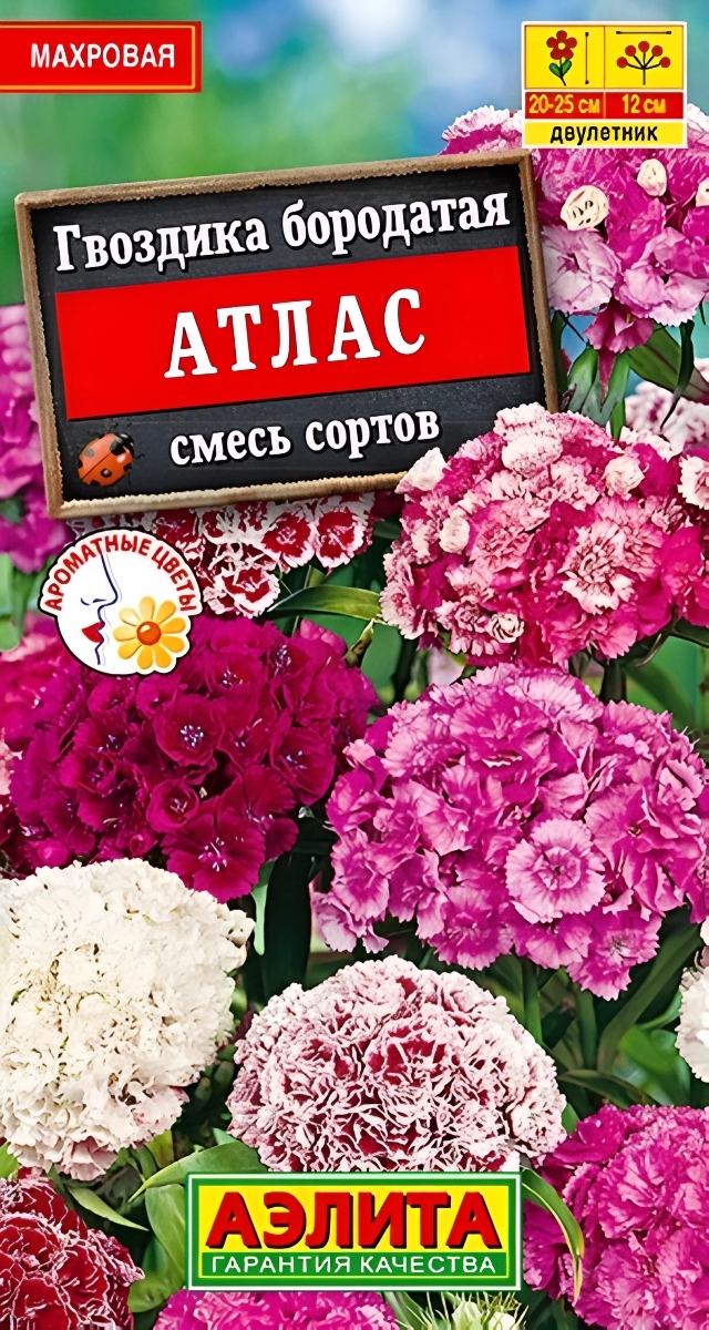 Гвоздика Балерина махровая, смесь окрасок, 0,1 г