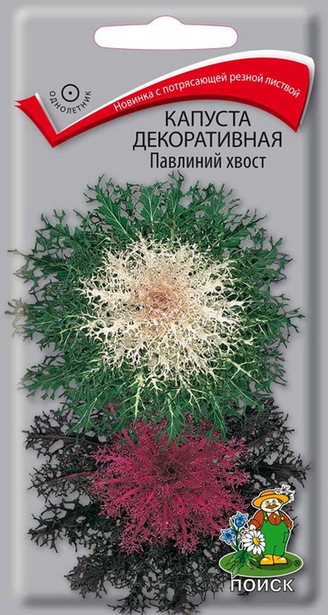 Капуста декоративная Павлиний хвост, 7 шт.