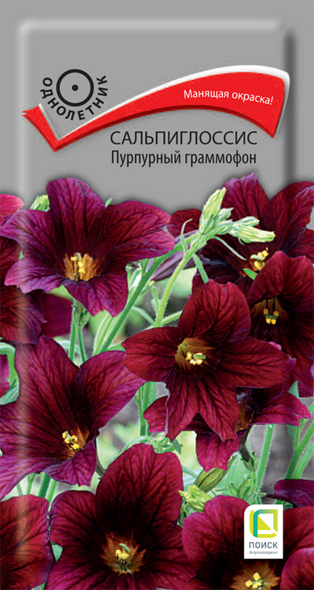 Сальпиглоссис Пурпурный граммофон, 0,1 г