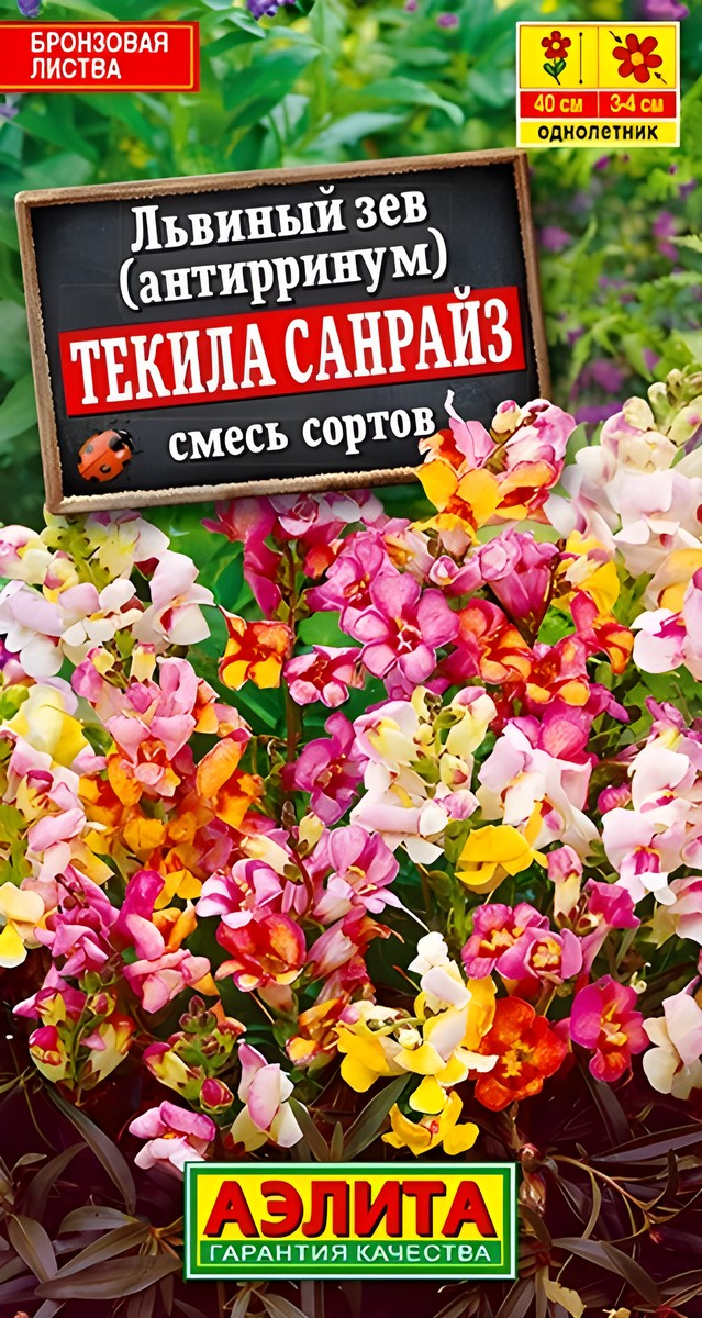 Львиный зев Снаптини F1, смесь сортов, 7 шт.