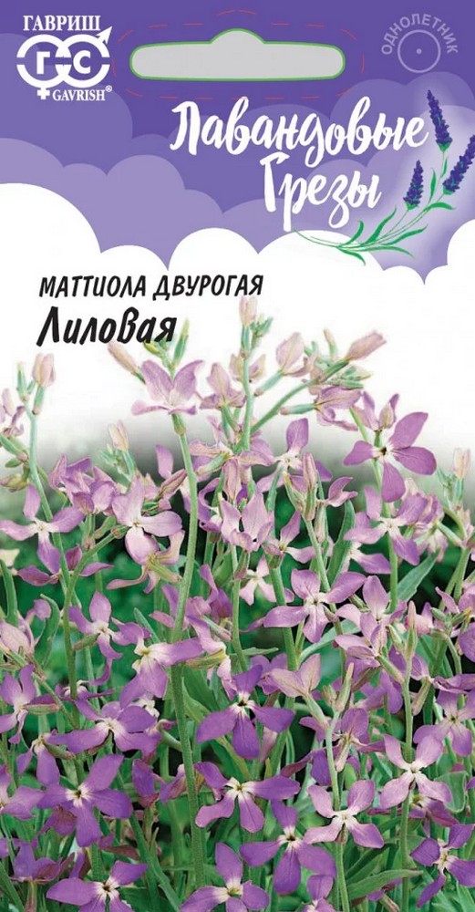 Маттиола двурогая Лиловая, 0,5 г. Альпийская горка.