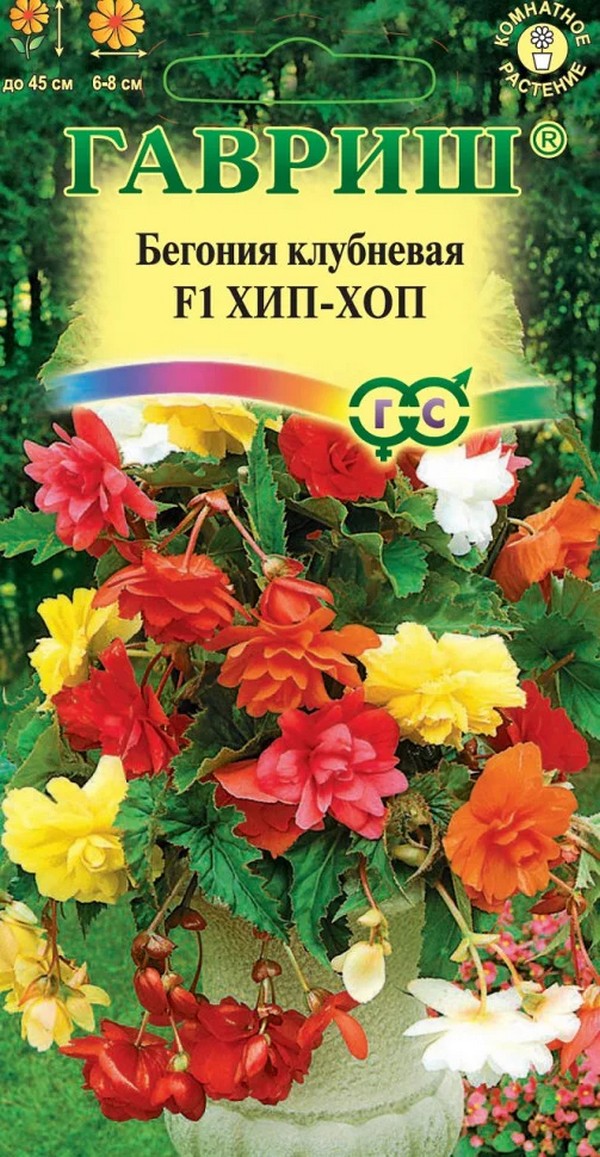 Бегония клубневая Хип-Хоп F1, смесь, ампельная, 4 шт. Гранулы.