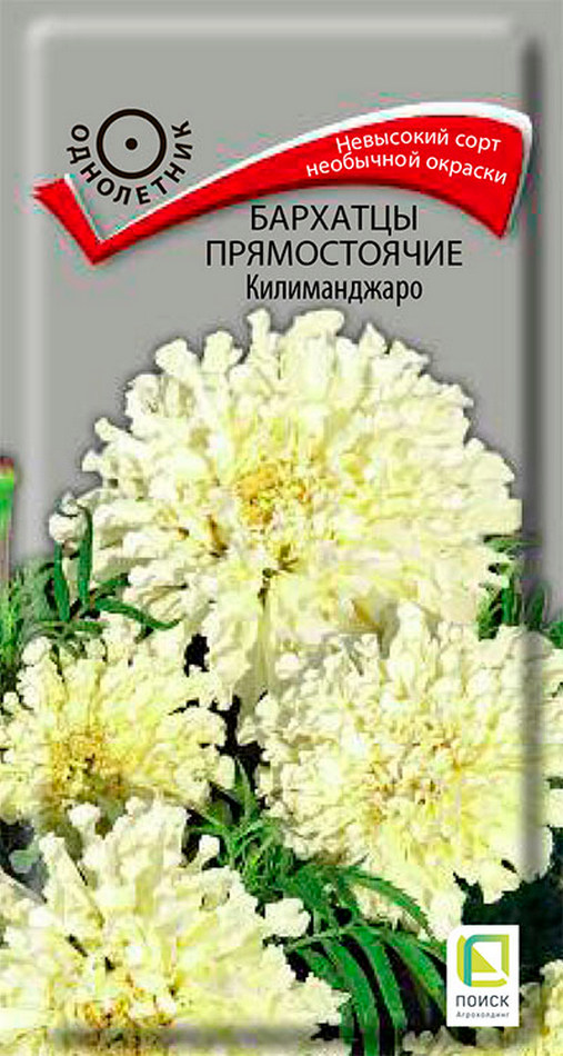 Бархатцы прямостоячие Килиманджаро, 0,1 г