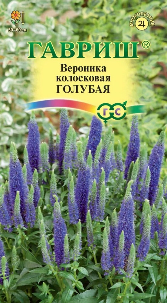 Вероника колосистая Голубая, 0,02 г. Гавриш